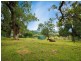169 Blackrange Road, Bega NSW 2550