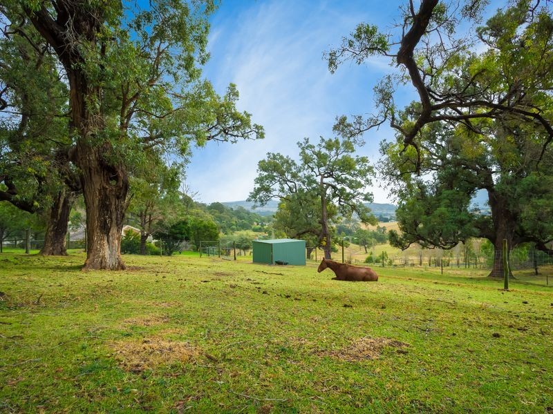 169 Blackrange Road, Bega NSW 2550