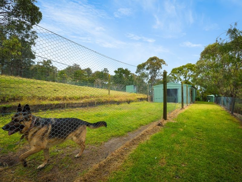 169 Blackrange Road, Bega NSW 2550