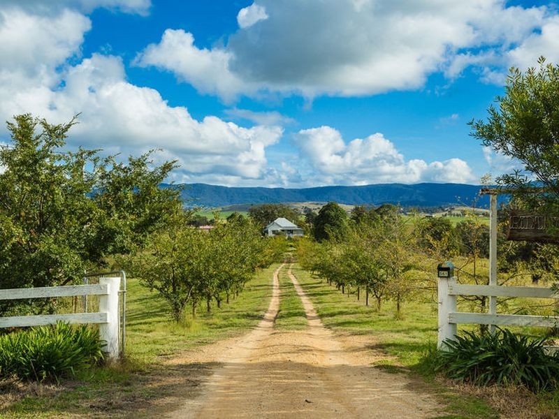 561 West Kameruka Road, Candelo NSW 2550