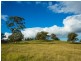 561 West Kameruka Road, Candelo NSW 2550