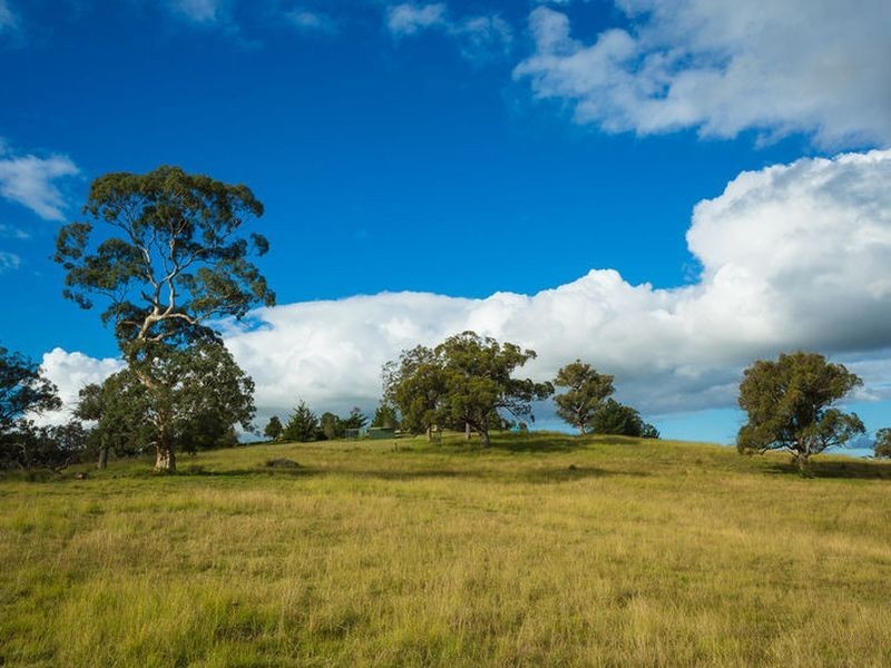 561 West Kameruka Road, Candelo NSW 2550