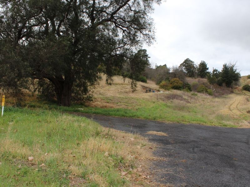 20 Bega Street, Candelo NSW 2550