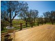 388 Candelo Road, Bega NSW 2550