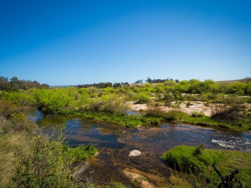 388 Candelo Road, Bega NSW 2550