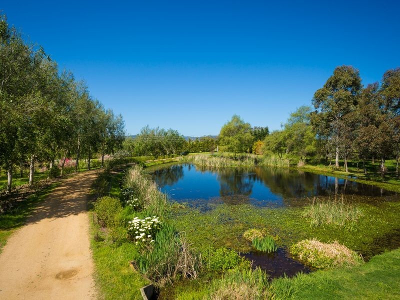 388 Candelo Road, Bega NSW 2550