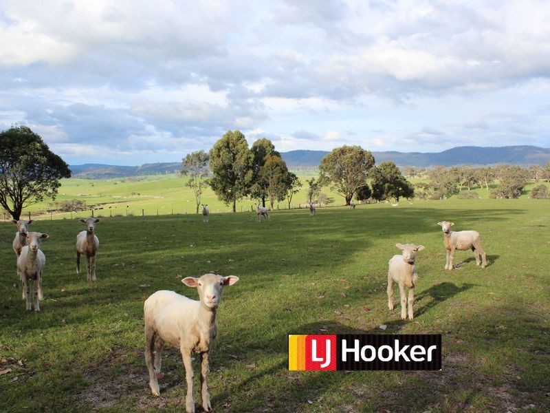 520 Wyndham Lane, Bega NSW 2550