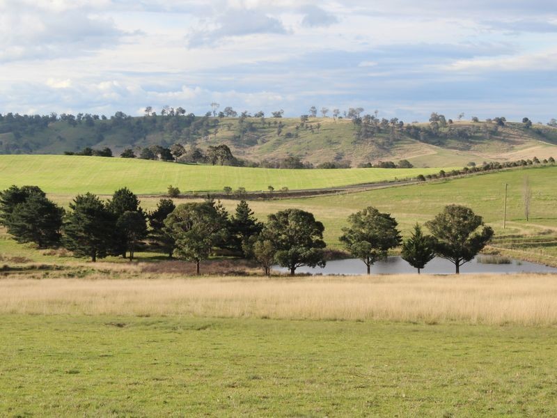 520 Wyndham Lane, Bega NSW 2550