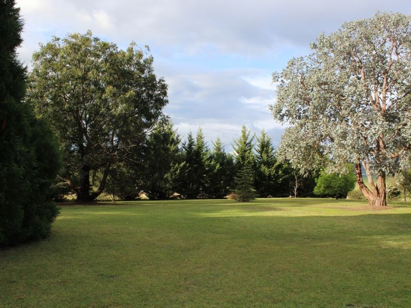 520 Wyndham Lane, Bega NSW 2550