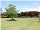 461 Wyndham Lane, Angledale NSW 2550