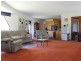 461 Wyndham Lane, Angledale NSW 2550