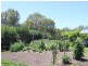 461 Wyndham Lane, Angledale NSW 2550