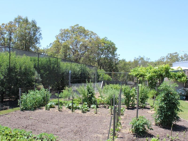 461 Wyndham Lane, Angledale NSW 2550