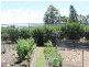 461 Wyndham Lane, Angledale NSW 2550