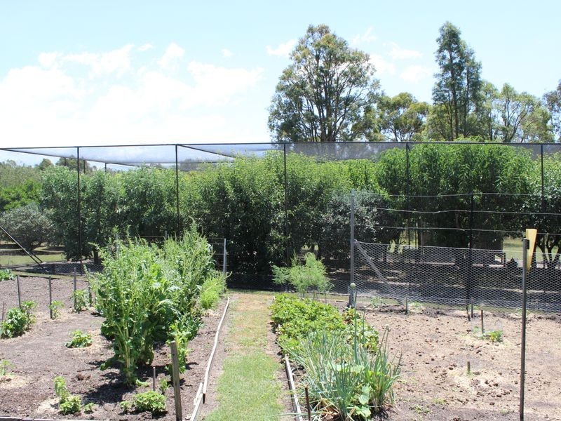 461 Wyndham Lane, Angledale NSW 2550