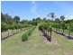 461 Wyndham Lane, Angledale NSW 2550