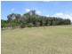 461 Wyndham Lane, Angledale NSW 2550