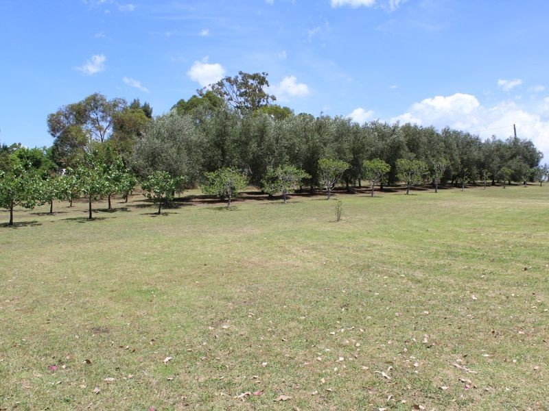 461 Wyndham Lane, Angledale NSW 2550