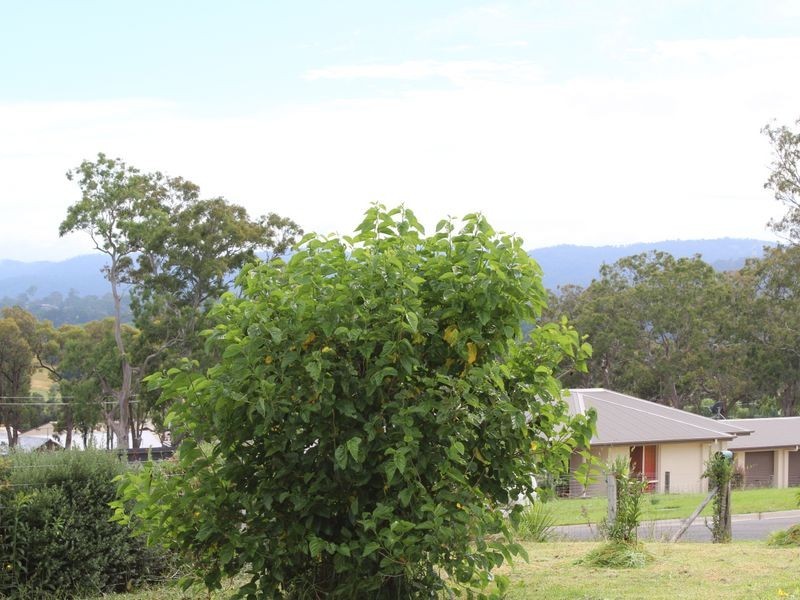 14 Thawa Close, Bega NSW 2550