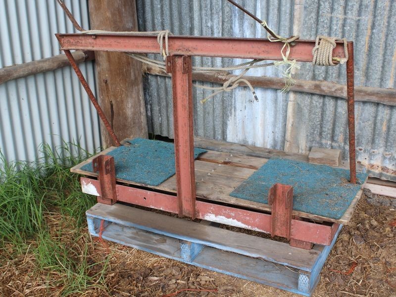 0139 Bourkes Road, Yowrie NSW 2550