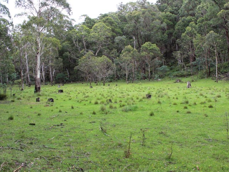 Lot 2 Creewah Road, Bombala NSW 2632