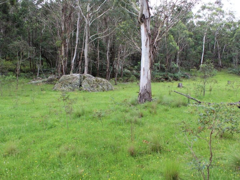 Lot 2 Creewah Road, Bombala NSW 2632
