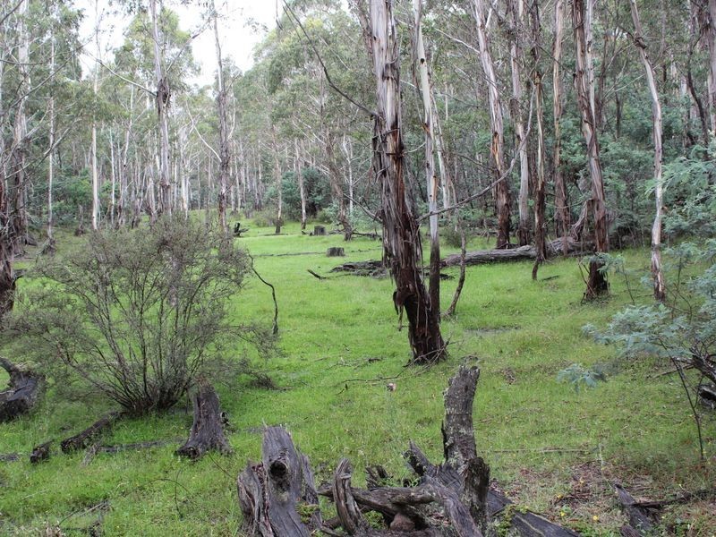 Lot 2 Creewah Road, Bombala NSW 2632