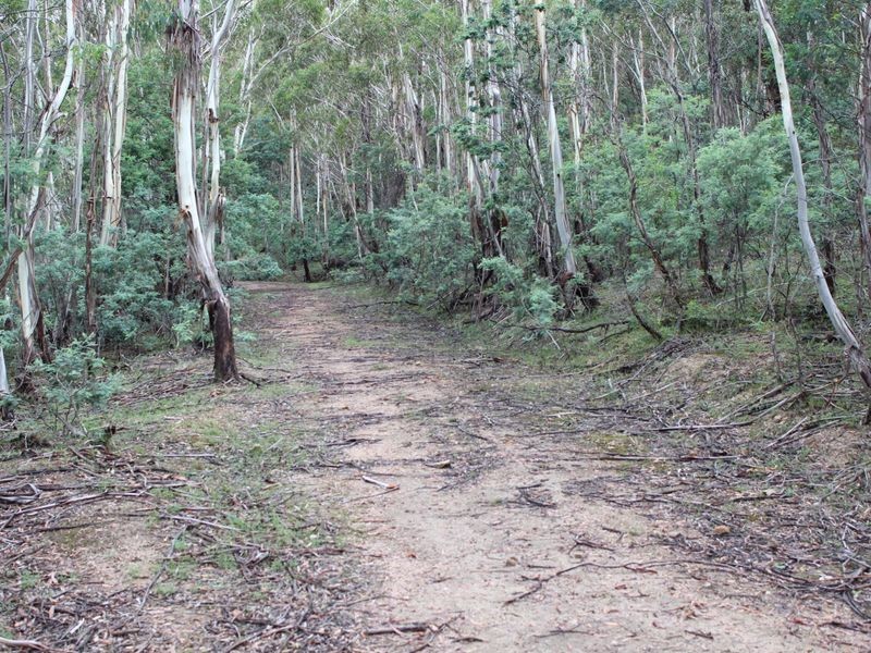 Lot 2 Creewah Road, Bombala NSW 2632