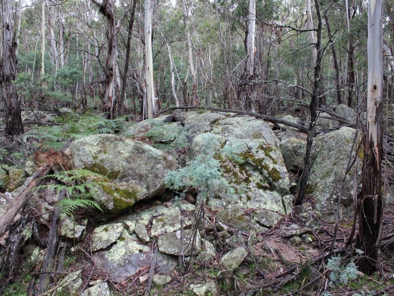 Lot 2 Creewah Road, Bombala NSW 2632