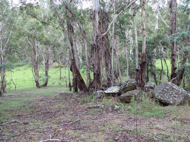 Lot 2 Creewah Road, Bombala NSW 2632