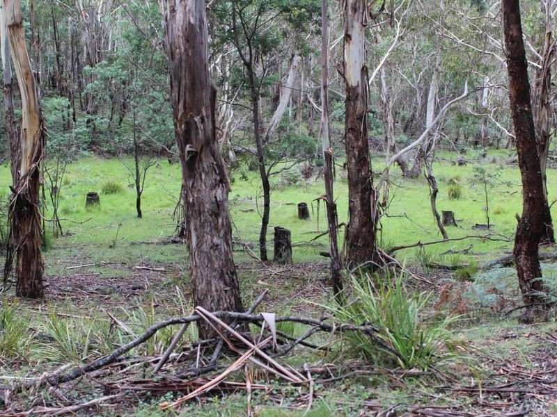 Lot 2 Creewah Road, Bombala NSW 2632