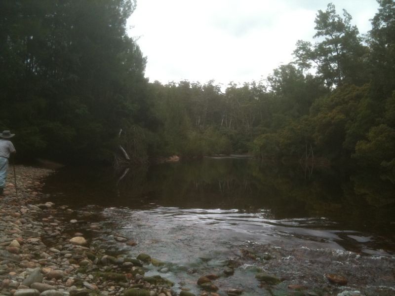 Lot 46 Wattlegrove Road, Tinpot NSW 2546