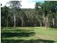 Lot 46 Wattlegrove Road, Tinpot NSW 2546