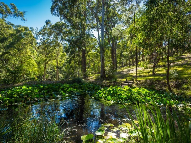 70 Jellat Way, Kalaru NSW 2550