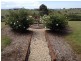 502 Snowy Mountains Highway, Bega NSW 2550