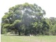 Lot 3/99 Black Range Road, Bega NSW 2550