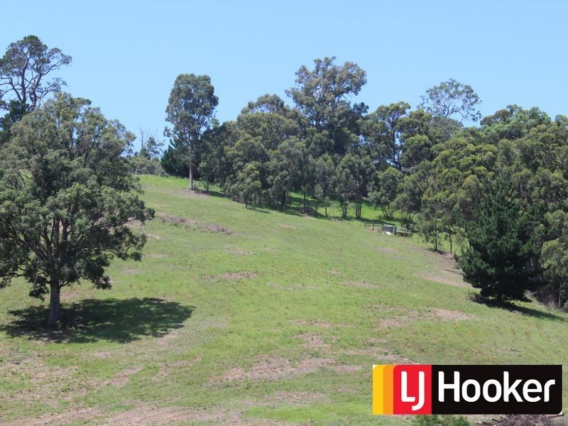 Lot 5 Kisimul Road, Bega NSW 2550