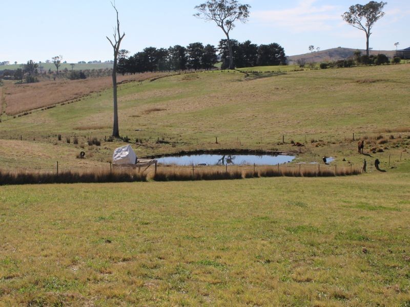 11 Ramseys Road, Candelo NSW 2550