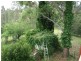 1130 Warrigal Range Road, Brogo NSW 2550