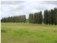 Lot 1 Springvale Close, Bega NSW 2550