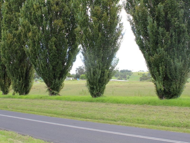 Lot 1 Springvale Close, Bega NSW 2550