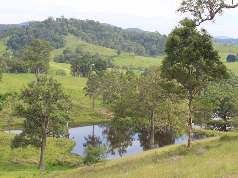 322 Desert Creek Road, Numbugga NSW 2550