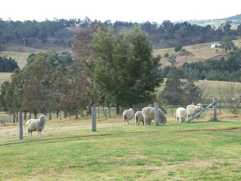 84 Blanchards Road, Brogo NSW 2550