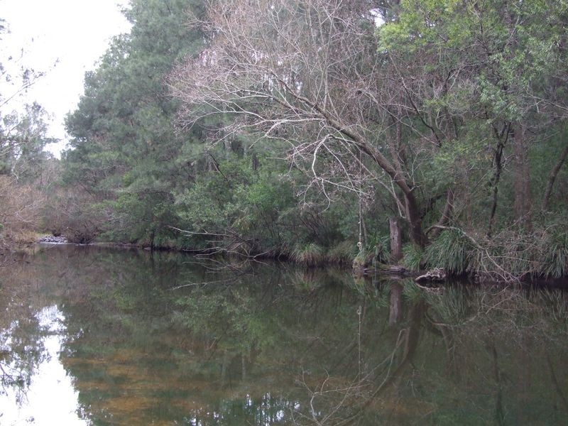 84 Blanchards Road, Brogo NSW 2550