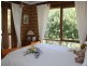 55 Finucanes Lane, Bega NSW 2550