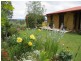 55 Finucanes Lane, Bega NSW 2550