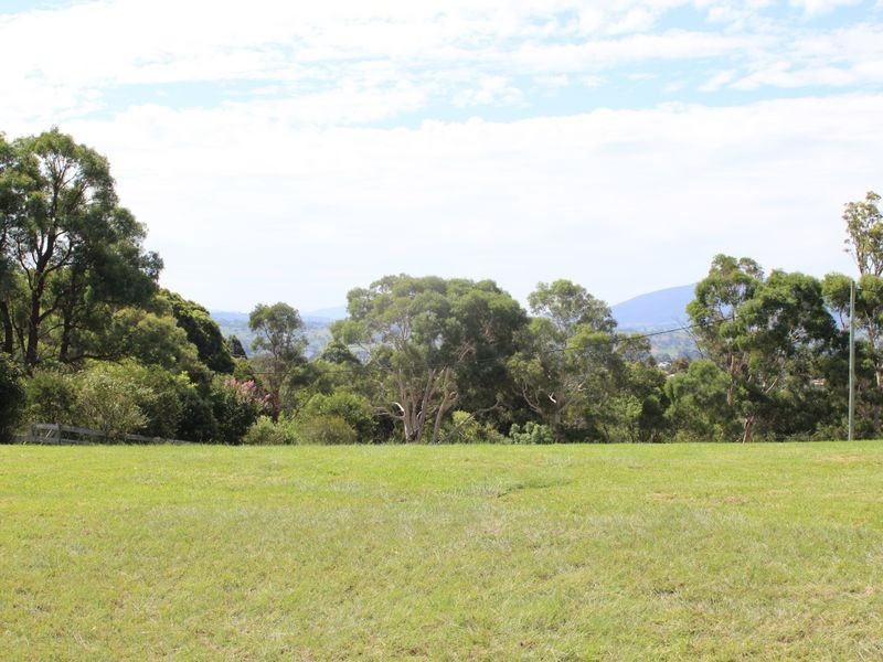 55 Finucanes Lane, Bega NSW 2550
