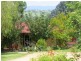 55 Finucanes Lane, Bega NSW 2550