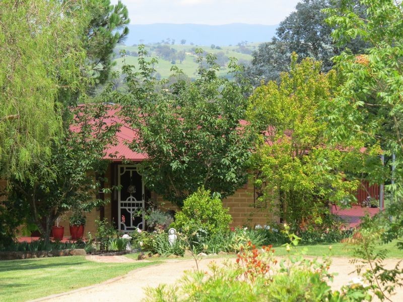 55 Finucanes Lane, Bega NSW 2550
