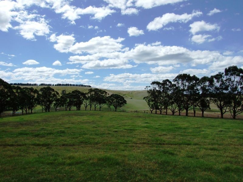 868 Candelo Wolumla Road, Wolumla NSW 2550